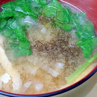 磯の香満載☆　「生ふのりと大根の味噌汁」